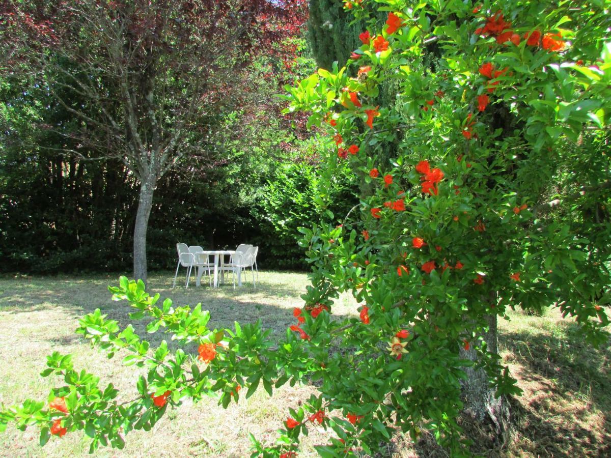 Agriturismo Dea Valfabbrica Exteriér fotografie